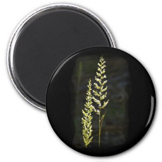Green Plant Fridge Magnet