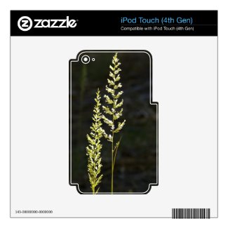 Green Plant Ipod Touch 4g Skin