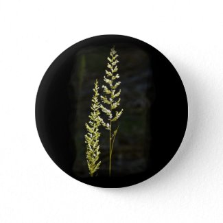 Green Plant Pinback Buttons