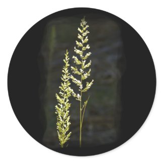 Green Plant Round Stickers