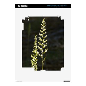 Green Plant Skin For Ipad 3