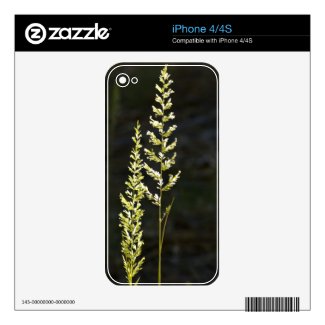 Green Plant Skin For The Iphone 4s