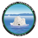 Green Polar Hawaii stickers