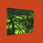 nature, abstract, ponds, butterfly, shadows,