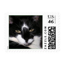 GREEN postage