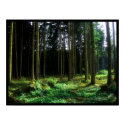 Green posters