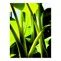Green posters