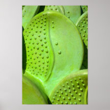 Green Print