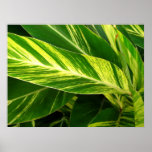 green print