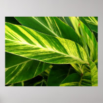 green print