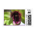 green purple orchid postage by Hoelzinger green purple orchid postage