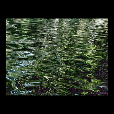 Green-purple-water Posters by Web420