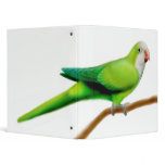 Green Quaker Parrot Avery Binder