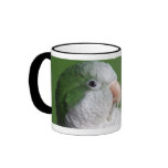 Green Quaker Parrot Mug