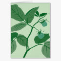framboesa verde postais by MichelineKanzy framboesa verde postais