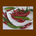 green&red pepper postcards by VioDePhoto green&red pepper postcards