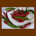 green&red pepper posters by VioDePhoto green&red pepper posters
