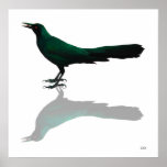 Green Reflections Print