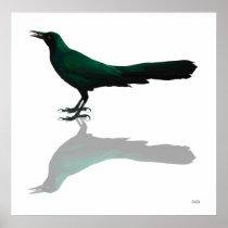 Green Reflections Print