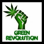 Green Revolution Poster posters