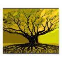 Green Roots posters