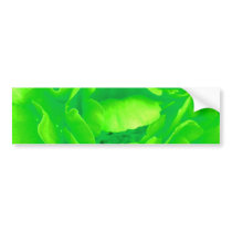 Green Rose Bumper Sticker - Customizable bumper stickers by colorimages Green Rose Bumper Sticker - Customizable bumper stickers