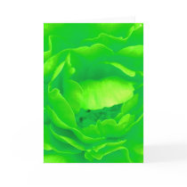 Green Rose cards
