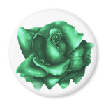 green rose -magnet