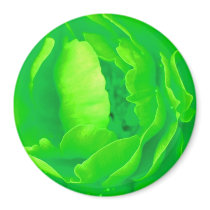 Green Rose Magnet - Customizable by colorimages Green Rose Magnet - Customizable
