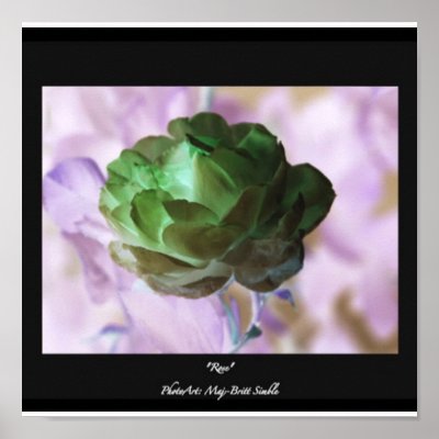 Green Rose Poster