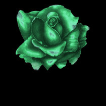 green rose shirt
