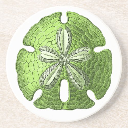 sand dollar coaster