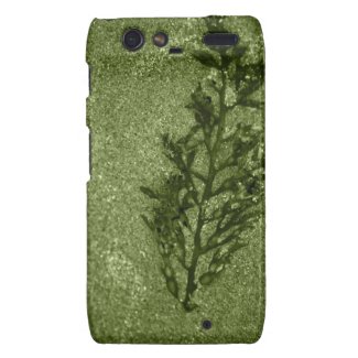 Green Sandy Beach Textures Motorola Droid RAZR Case