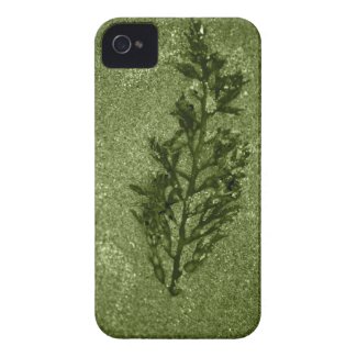 Green Sandy Beach Textures Case-Mate iPhone 4 Case