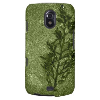 Green Sandy Beach Textures Galaxy Nexus Covers
