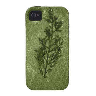 Green Sandy Beach Textures iPhone 4 Case