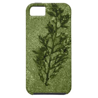 Green Sandy Beach Textures iPhone 5 Covers