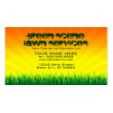 green scene lawn services (night and day) business cards