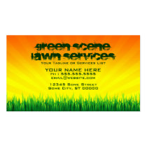 green scene lawn services (night and day)