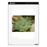 Green Sea Glass Flower iPad 3 Decals