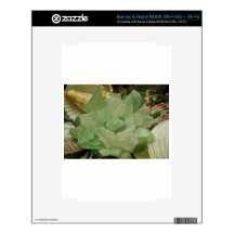 Green Sea Glass Flower NOOK Skin