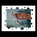 Green Sea Turtle bubbles Postcard postcards