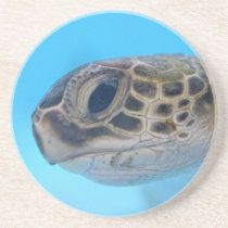 Green Sea Turtle coaster coasters