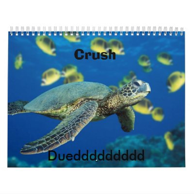 crush turtle