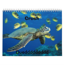 Green Sea Turtle, Crush, Dueddddddddd calendars