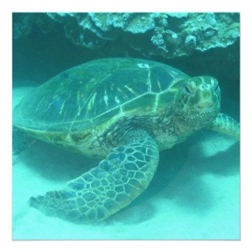 Green Sea Turtle Custom Invitations