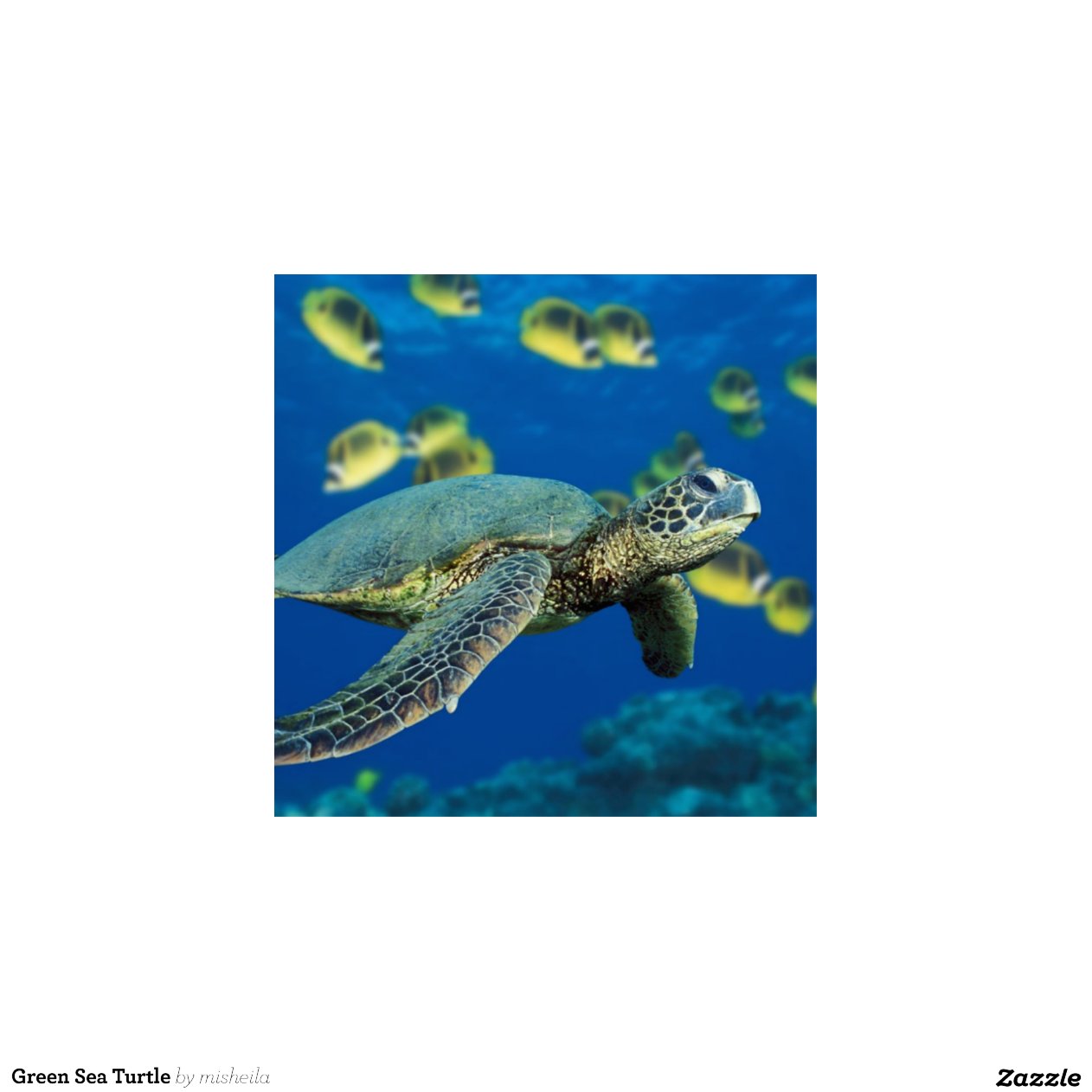 Green Sea Turtle Cut Out | Zazzle