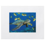 Green Sea Turtle Flyer Design