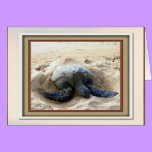GREEN SEA TURTLE Greeting Card cards