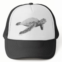 Green Sea Turtle hats